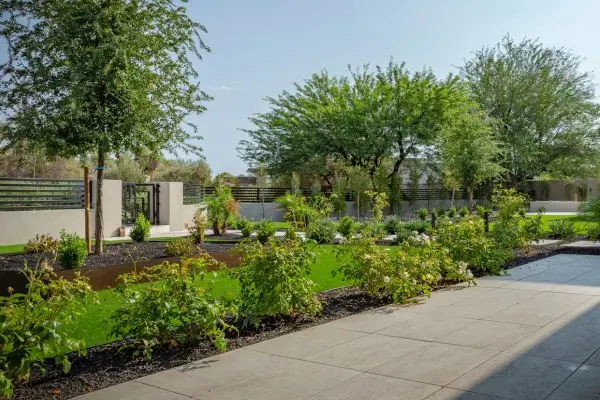 Buckeye Luxury Landscaping 1